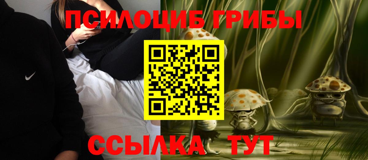 Усть-Илимск  Псилоцибиновые грибы Psilocybine cubensis  Вход с VPN 